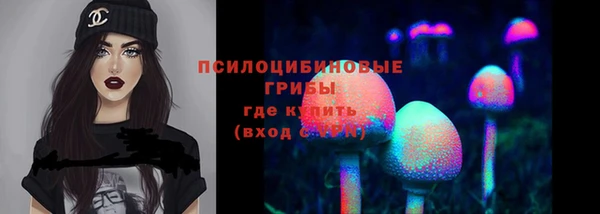 дживик Баксан