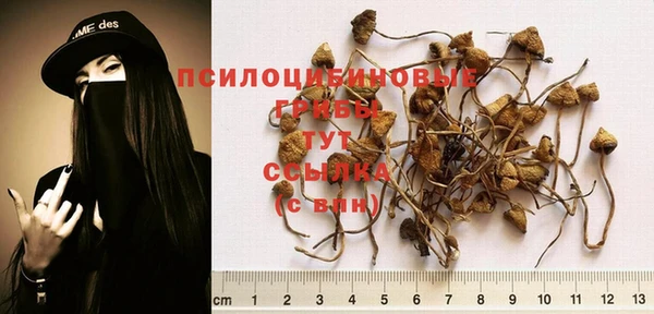 каннабис Балабаново