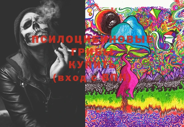 дживик Баксан
