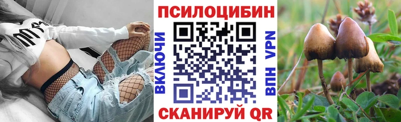 Галлюциногенные грибы Cubensis Гаврилов-Ям