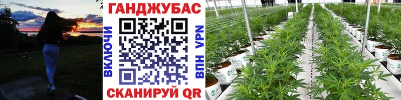 Шишки марихуана VHQ  Гаврилов-Ям 